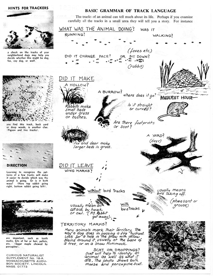 Basic Grammar of Track Language